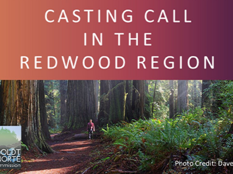 Casting Call in the Redwood Region