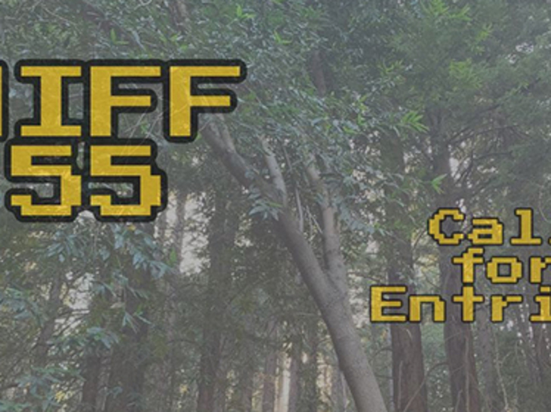 HIFF 55 Call for Entries