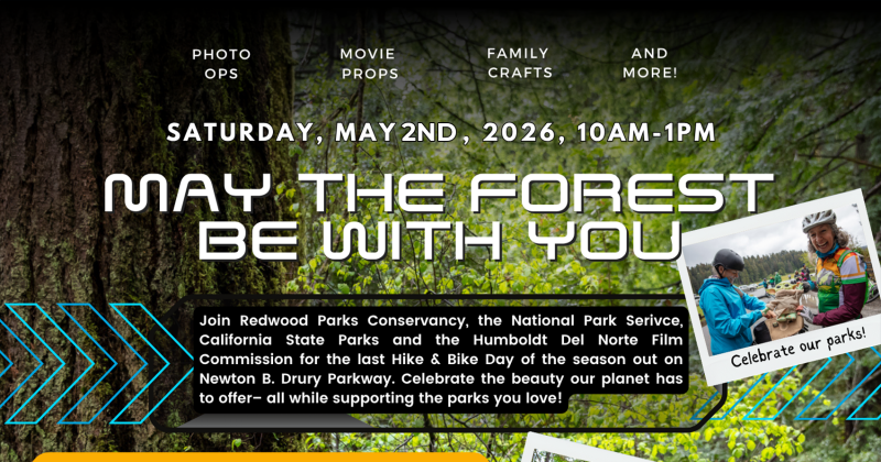 May the Forest Be with You at Prairie Creek State Park