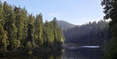 Rivers and Streams