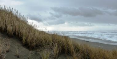 Dunes