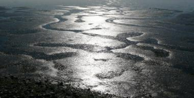 Sloughs and Wetlands