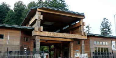 Zoo