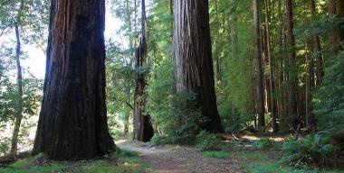 Benbow Lake State Recreation Area