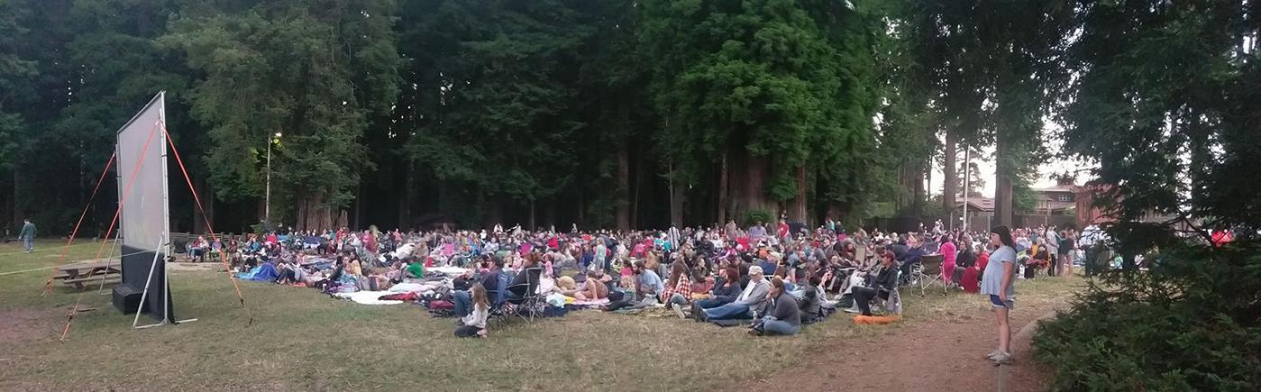 Movies in the park crowd
