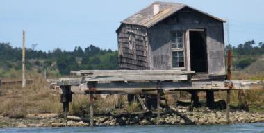 link to full image of Humboldt Bay