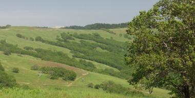 link to full image of Orick - Meadow Bald Hills 2