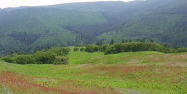 link to full image of Orick - Meadow Bald Hills 4