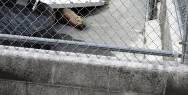 link to full image of Marine Mammal Rescue Center, Crescent City