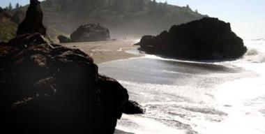 link to full image of Trinidad State Beach  6