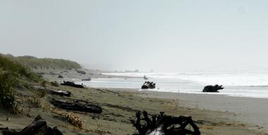 link to full image of Arcata Mad River Dune 3