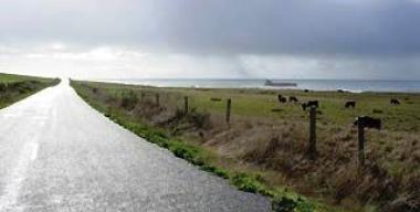 link to full image of Road Coastal Due South Lost Coast 3