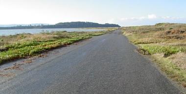 link to full image of Road Coastal South Jetty 1