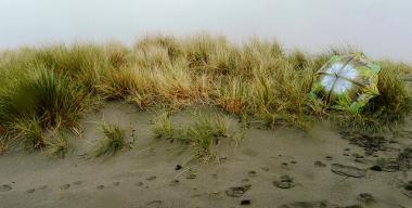 link to full image of Arcata -  Mad River Dune 1