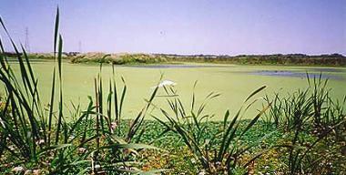 Agricultural & Natural Geography